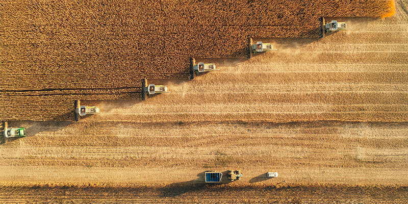 Internet of Things (IoT)